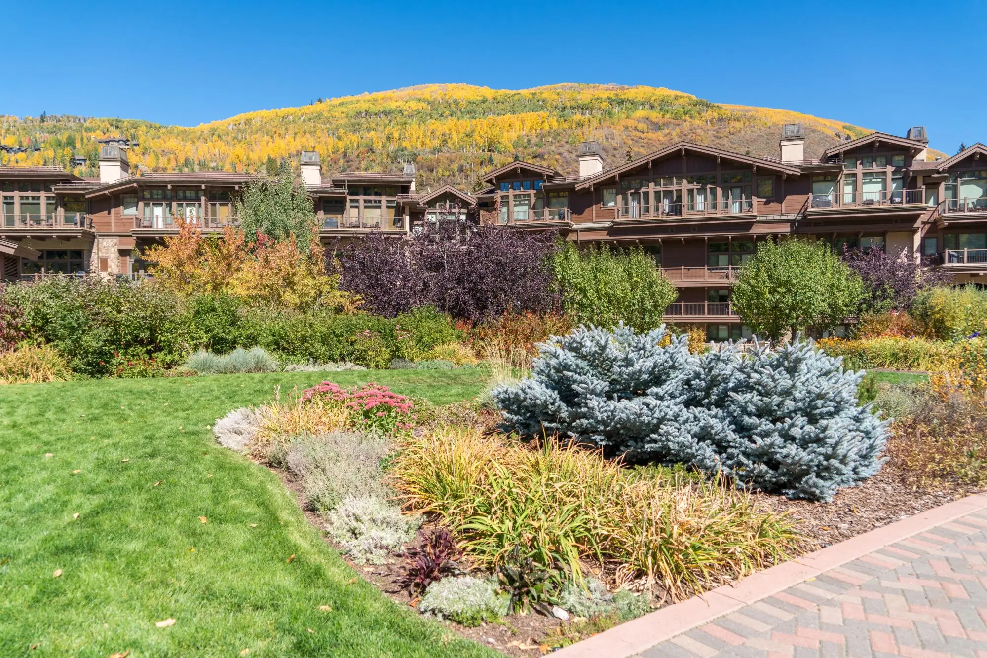 4 Tips for a Successful Vacation Rental Experience in the Vail, Colorado Area